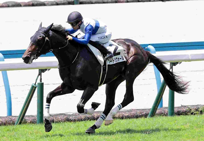 R7・メイクデビュー小倉(7/6)5Rレースパネル ロードラヴォール