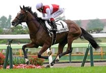 Ｒ7・メイクデビュー函館（7/6）5Rレースパネル　ショウナンガルフ