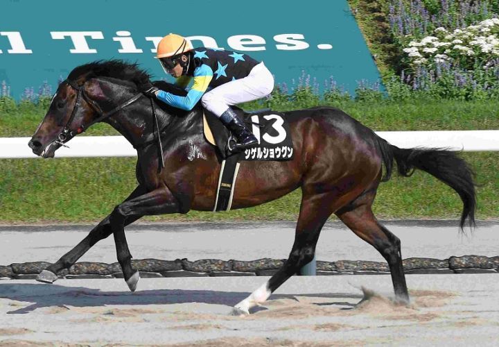 R7・ジュライSレースパネル シゲルショウグン