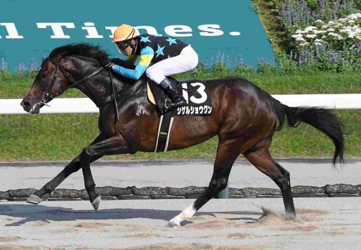 R7・ジュライSレースパネル シゲルショウグン
