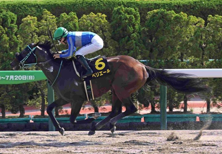 R7・大沼Sレースパネル ペリエール
