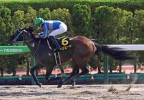 Ｒ7・大沼Sレースパネル　ペリエール