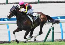 Ｒ7・メイクデビュー小倉（7/12)５Rレースパネル　クールフラン