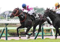 Ｒ7・巴賞レースパネル　ケイアイセナ