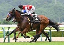 Ｒ7・安達太良Sレースパネル　カルロヴェローチェ