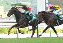 Ｒ7・七夕賞レースパネル　コスモフリーゲン