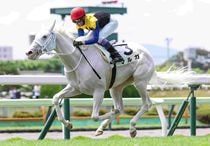 Ｒ7・メイクデビュー函館（7/12)5Rレースパネル　マルガ