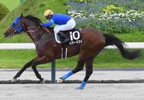 競馬 名馬 大きいパネル^o^ 競馬 名馬 大きいパネル^o^（未来に語り継ぎたい名馬 JRA