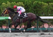 競馬 名馬 大きいパネル^o^ 競馬 名馬 大きいパネル^o^