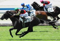 競馬 名馬 大きいパネル^o^ 競馬 名馬 大きいパネル^o^ 競馬 名馬 大きいパネル^o^（未来に