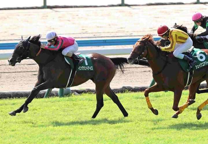R7・小倉記念レースパネル イングランドアイズ