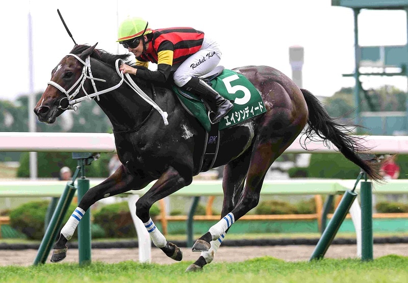 R7・函館2歳Sレースパネル エイシンディード
