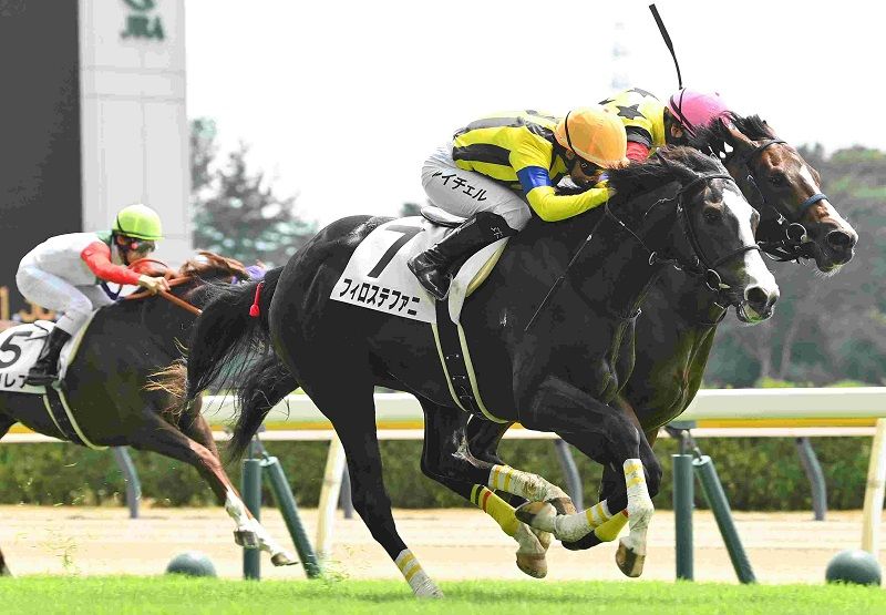 R7・メイクデビュー新潟(7/27)3Rレースパネル フィロステファニ