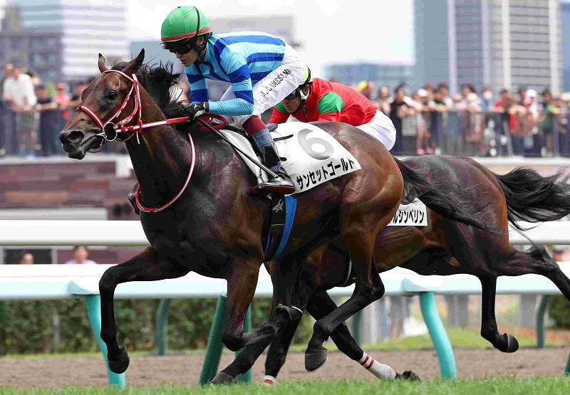 R7・メイクデビュー札幌(7/27)5Rレースパネル サンセットゴールド