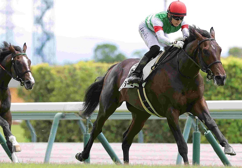 R7・メイクデビュー中京(7/27)3Rレースパネル ロックターミガン