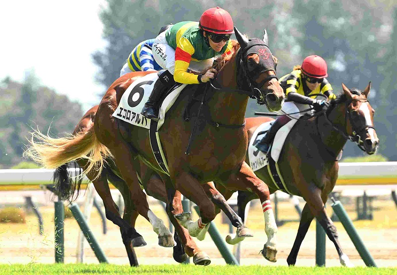 R7・メイクデビュー新潟(7/26)3Rレースパネル エコロアルバ