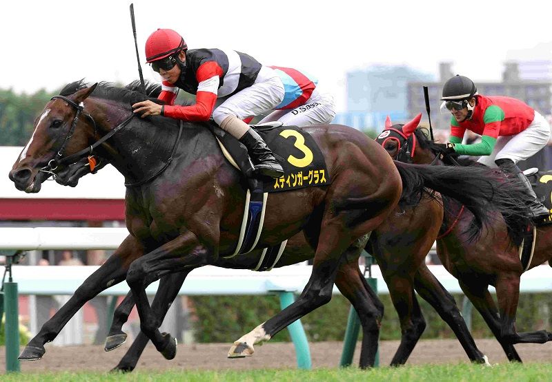 R7・札幌日経賞レースパネル スティンガーグラス