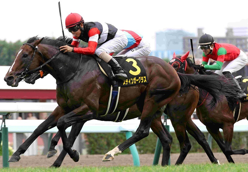 R7・札幌日経賞レースパネル スティンガーグラス