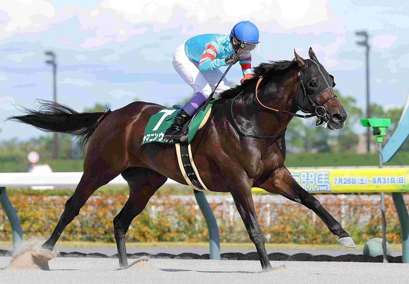 R7・東海Sレースパネル ヤマニンウルス
