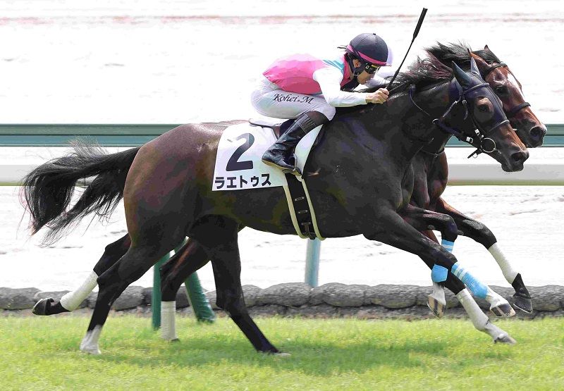 Ｒ7・メイクデビュー中京（8/3)3Rレースパネル　ラエトゥス