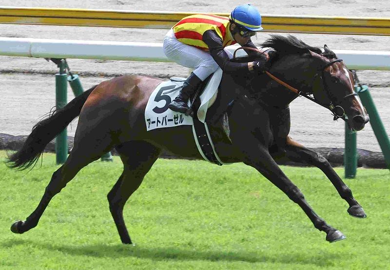 Ｒ7・メイクデビュー新潟（8/2)4Rレースパネル　アートバーゼル