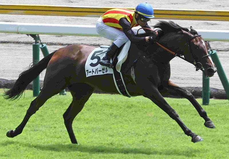 Ｒ7・メイクデビュー新潟（8/2)4Rレースパネル　アートバーゼル