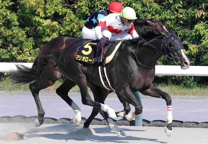 Ｒ7・名鉄杯レースパネル　マリオロード