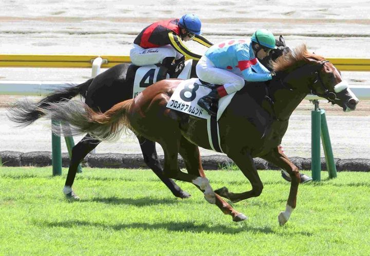 Ｒ7・メイクデビュー新潟（8/3)4Rレースパネル　プロメサアルムンド