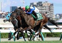 1977年有馬記念写真パネル m89532308239_1.jpg?1592544330