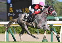 アグネスゴールド 週刊Gallop パネル アグネスゴールド 週刊Gallop パネル 競馬,レース写真パネル