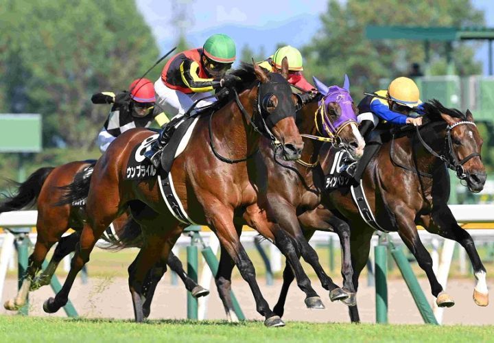 R7・関越Sレースパネル ウンブライル | サンスポe-shop