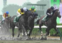 競馬,レース写真パネル | サンスポe-shop