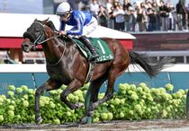 競馬優勝パネル（枠付き） 競馬,レース写真パネル | サンスポe-shop