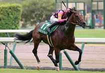 競馬,レース写真パネル | サンスポe-shop