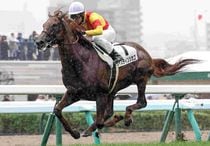 競馬優勝パネル（枠付き） 競馬,レース写真パネル | サンスポe-shop