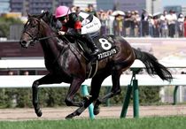 アグネスゴールド 週刊Gallop パネル 競馬ブックネットSHOP