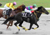 競馬 名馬 大きいパネル^o^ 競馬 名馬 大きいパネル^o^（未来に語り継ぎたい名馬 JRA