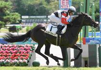 競馬 名馬 大きいパネル^o^ 競馬 名馬 大きいパネル^o^（未来に語り継ぎたい名馬 JRA