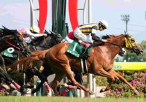 競馬,レース写真パネル | サンスポe-shop