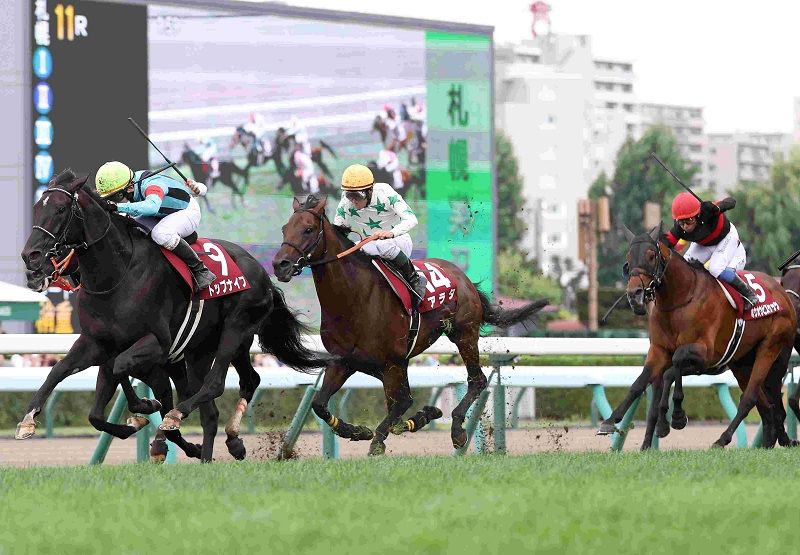 ディープインパクト 武豊 3冠馬 Gallop サンケイスポーツ　競馬 パネル ディープインパクト 武豊 3冠馬 Gallop サンケイスポーツ 競馬