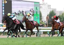 アグネスゴールド 週刊Gallop パネル アグネスゴールド 週刊Gallop パネル 競馬,レース写真パネル