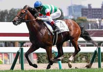 競馬,レース写真パネル | サンスポe-shop