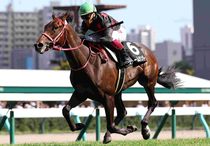 Ｒ7・クローバー賞レースパネル　ストームサンダー