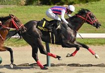 Ｒ7・BSN賞レースパネル　ジャスパーロブスト