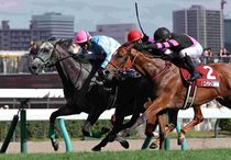 Ｒ7・2025ワールドオールスタージョッキーズ第1戦レースパネル　ハートホイップ（坂井瑠星騎手）　