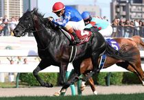 競馬,レース写真パネル | サンスポe-shop
