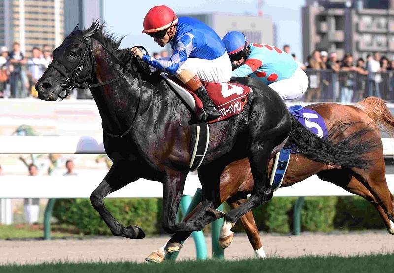 Ｒ7・2025ワールドオールスタージョッキーズ第2戦レースパネル　パトリックハンサム（Ｔ・ハマーハンセン騎手）　