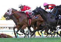 ギャロップ　競馬パネル　サイレンススズカ　中山記念 1998年 中山記念（GⅡ） | サイレンススズカ | JRA公式 - YouTube