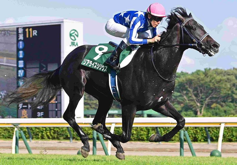 Ｒ7・新潟2歳Ｓレースパネル　リアライズシリウス