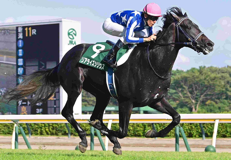 Ｒ7・新潟2歳Ｓレースパネル　リアライズシリウス
